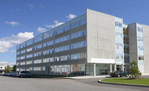 掛靠施工中，滿足特定條件即可直接向發包人主張工程款